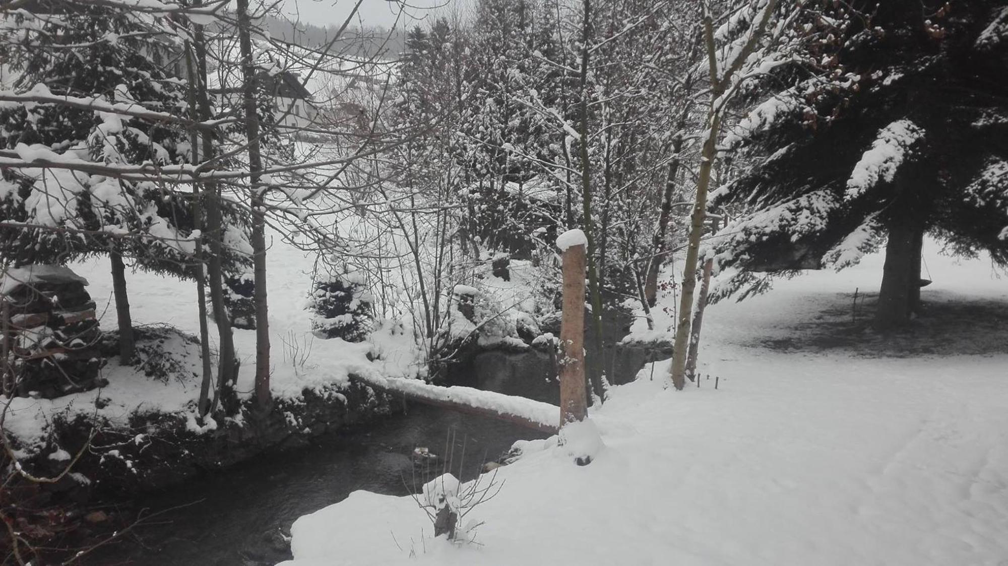 Penzion V Zelený Rokytnice nad Jizerou Exterior foto